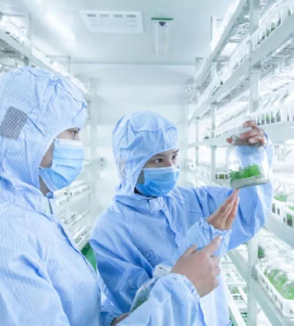 深夜视频免费在线观看技术