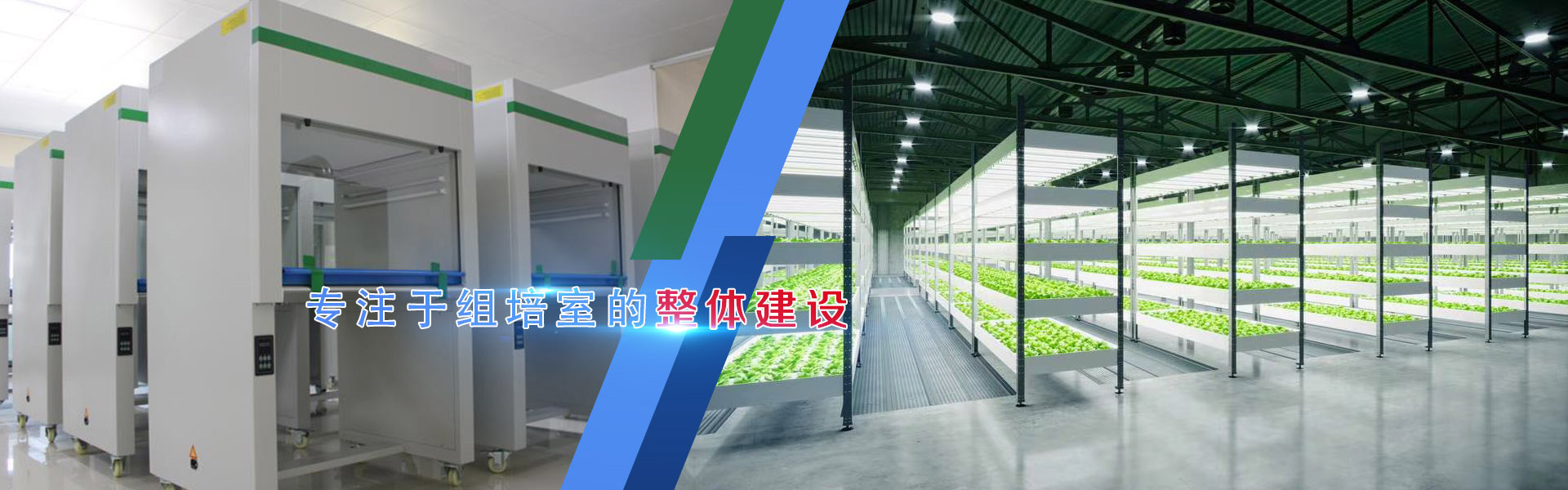 深夜视频免费在线观看、深夜视频免费在线观看架