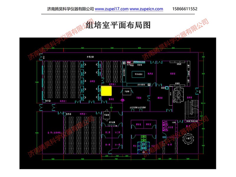 深夜视频免费在线观看室