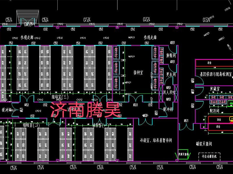 深夜视频免费在线观看  深夜视频免费在线观看室