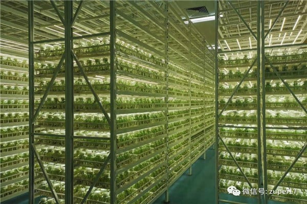 深夜视频免费在线观看仪器设备