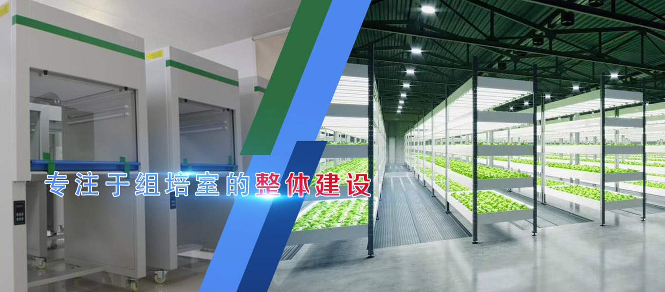 深夜视频免费在线观看、深夜视频免费在线观看架